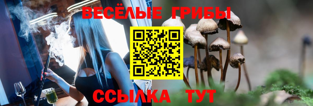 Галлюциногенные грибы мицелий  Вход с VPN  купить закладку  Ливны  Псилоцибиновые грибы Cubensis 